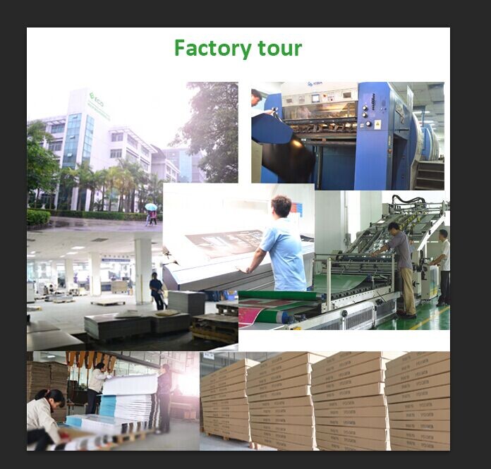 Cardboard Pallet Display for Chewing Gum Display Rack