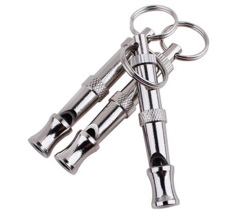 Metal Dog Whistle.JPG