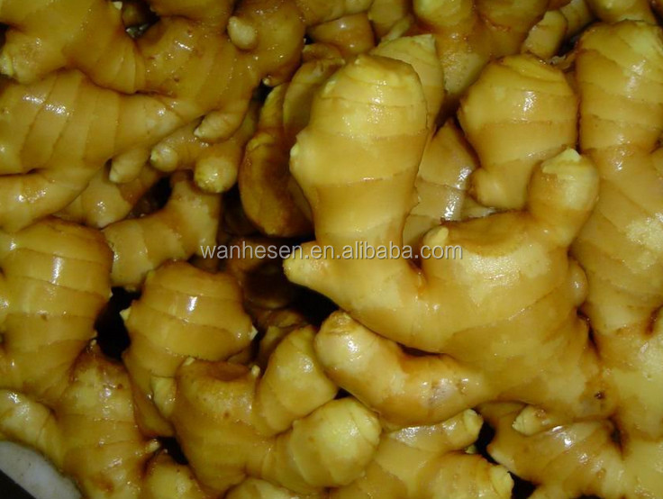 The Most Favorable Ginger Export - The Best Selling new corp fresh ginger