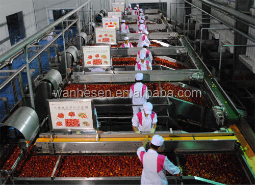 Aseptic bulk ketchup