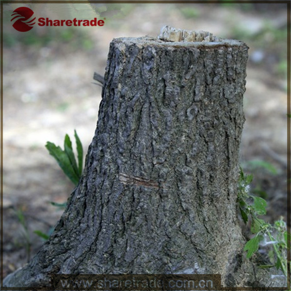 2015 Highend Wholesale Real Size Window Display Props Fake Artificial