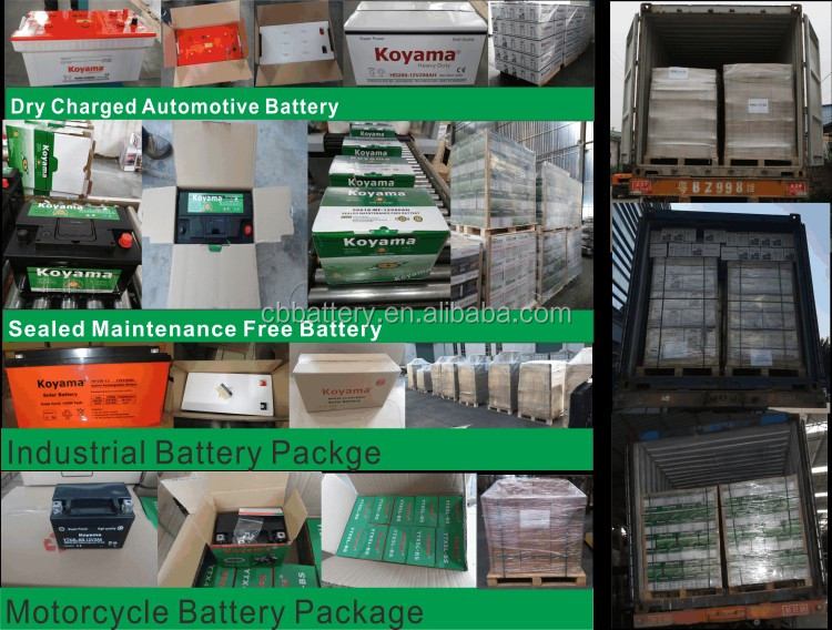 Auto battery package.jpg