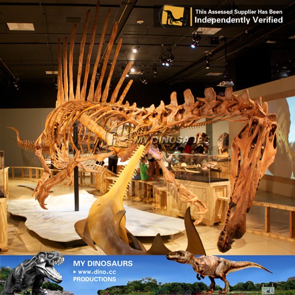 spinosaurus skeleton 2.jpg