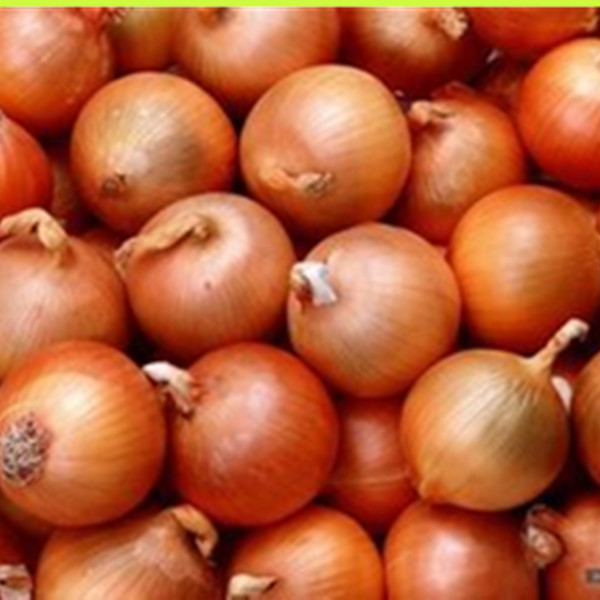 Fresh Onion,Fresh Vegetables,Good Quality Onion From China, High Quality Onion,Fresh Onion For
