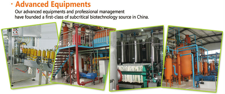 High Quality wheat germ seed oil vitamin E softgel capsules