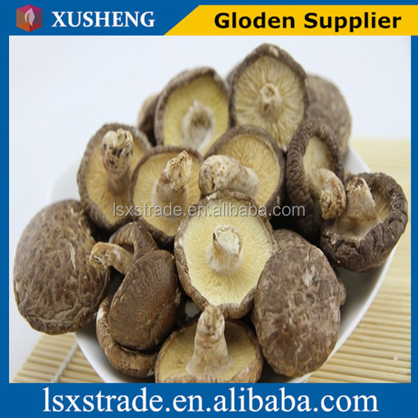Organic Canned shiitake mushroom whole Dried Shiitake Mushroom in bulk