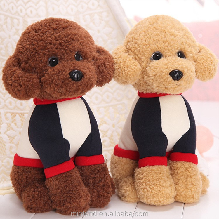 soft teddy dogs