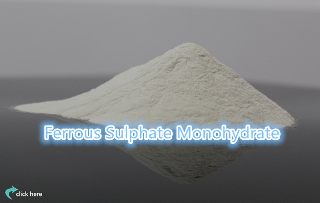 ferrous sulphate monohydrate.jpg