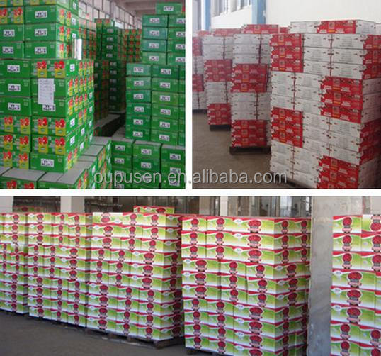 70-3000g Canned Tomato Paste