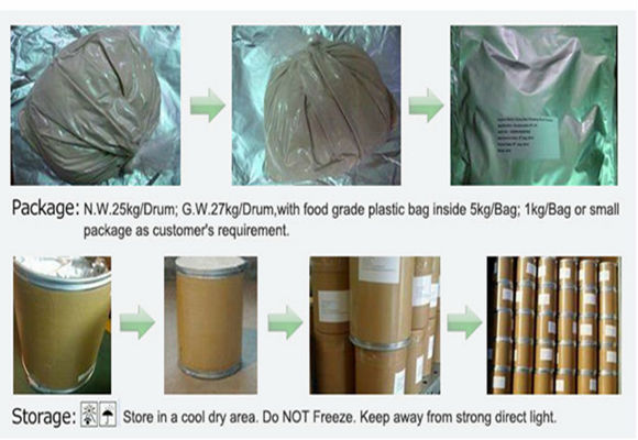 Lycium Barbarum L. ,Goji berry P.E. powder supplier