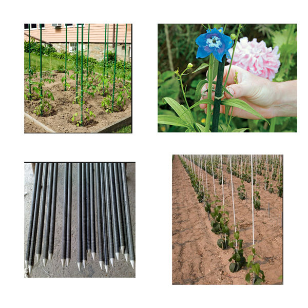 Tree stake.jpg