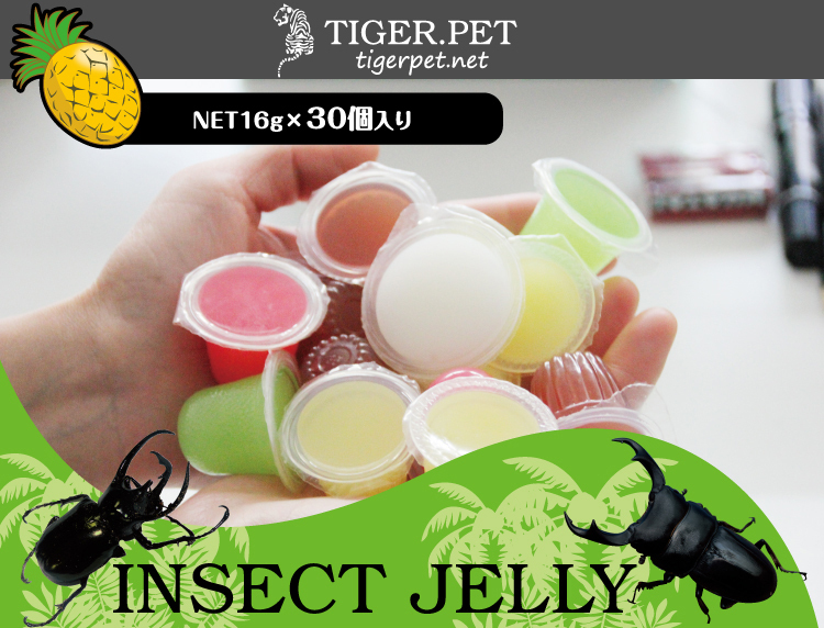 OEM and ODM wholesale pineapple flavor reptiles Jelly.jpg