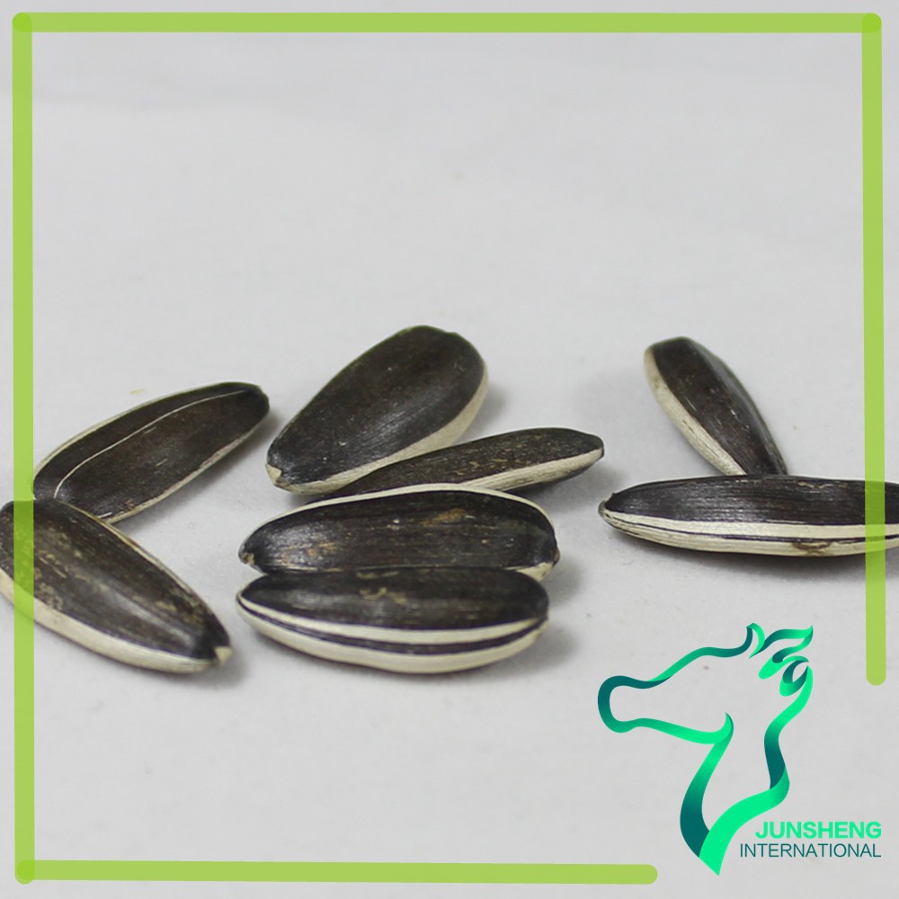 sunflower seeds bulk bird seeds buy high quality sunflower seeds bulk bird seeds buy high quality