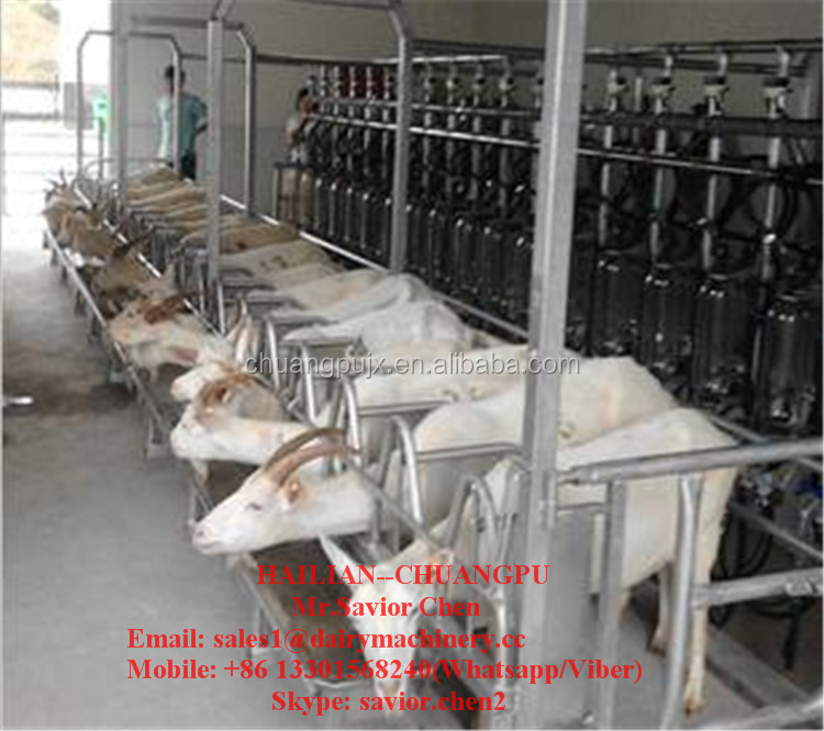 Automatic Milking Parlor For Mlking Dairy Goats,Goat Milking Equipment
