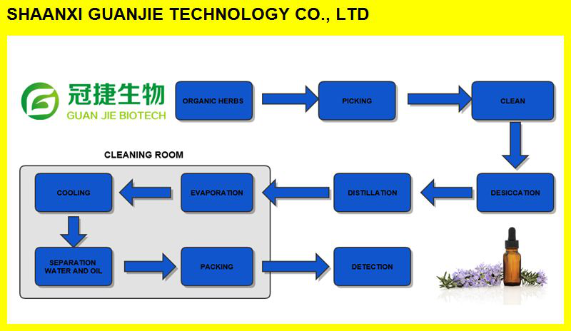 High Quantily 100% Pure Cinnamon Oil Manufacturer