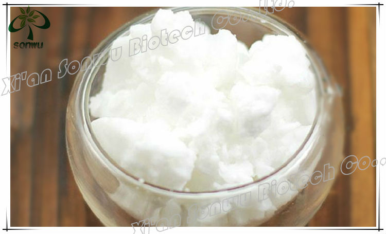 edible cocoa butter substitute