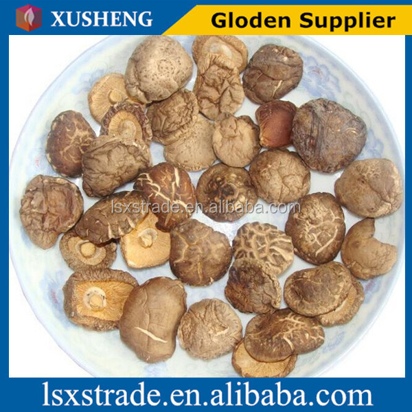Edible Fungi Mushrooms ,Dried Shiitake Mushroom, Dried Mushrooms (B)