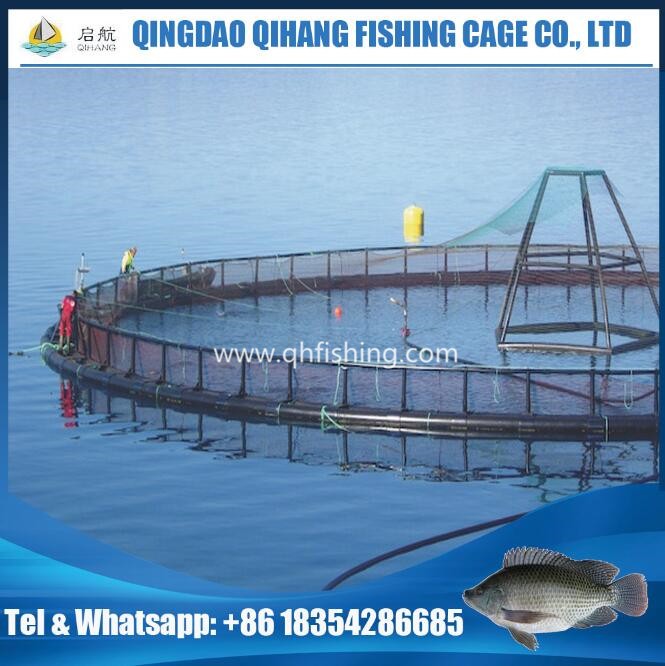 offshore aquaculture salmon fish cage, HDPE