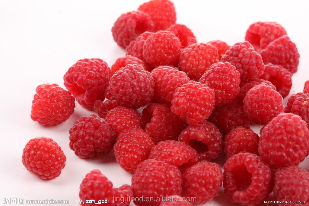 Freeze dried berries Raspberry rubus corchorifolius Freeze dried fruits and vegetables