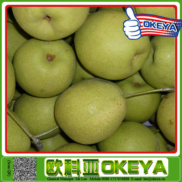 Top Quality Sweet Juicy china green su pear/green pear