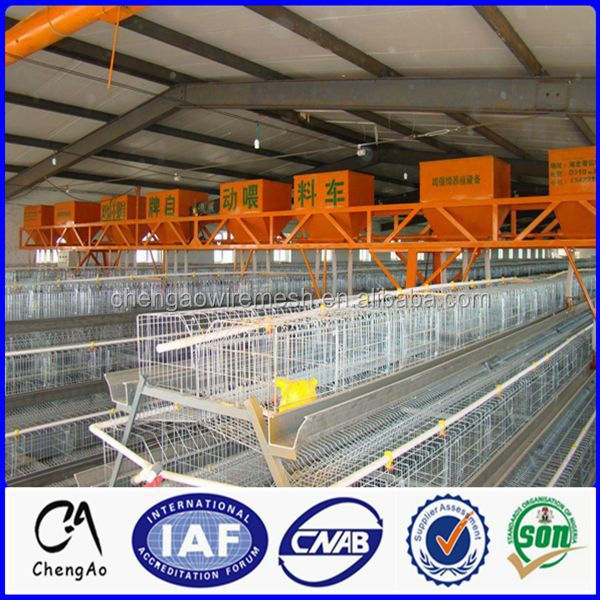 Automatic Chicken Egg Layer Cage for Sale In Philippines Poultry 