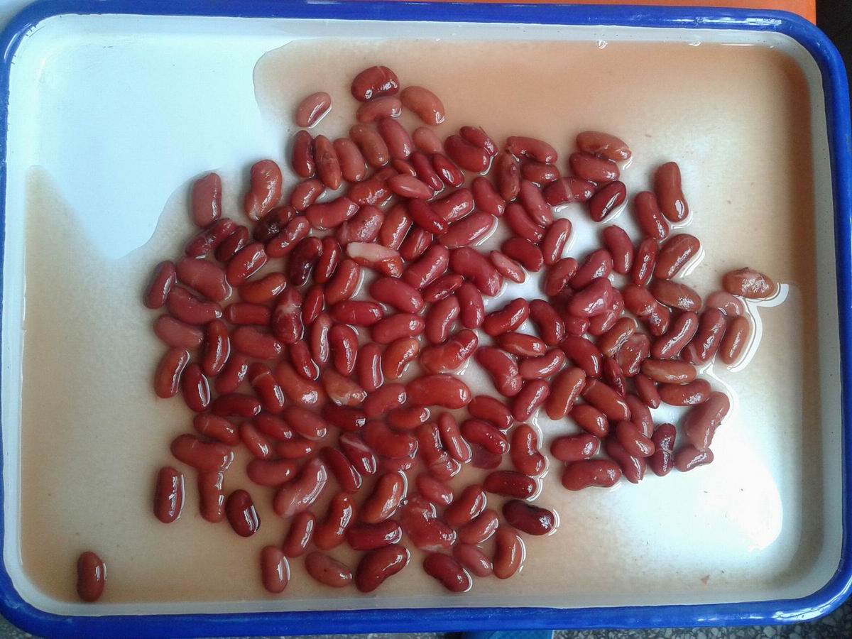 High quality canned red kidney beans