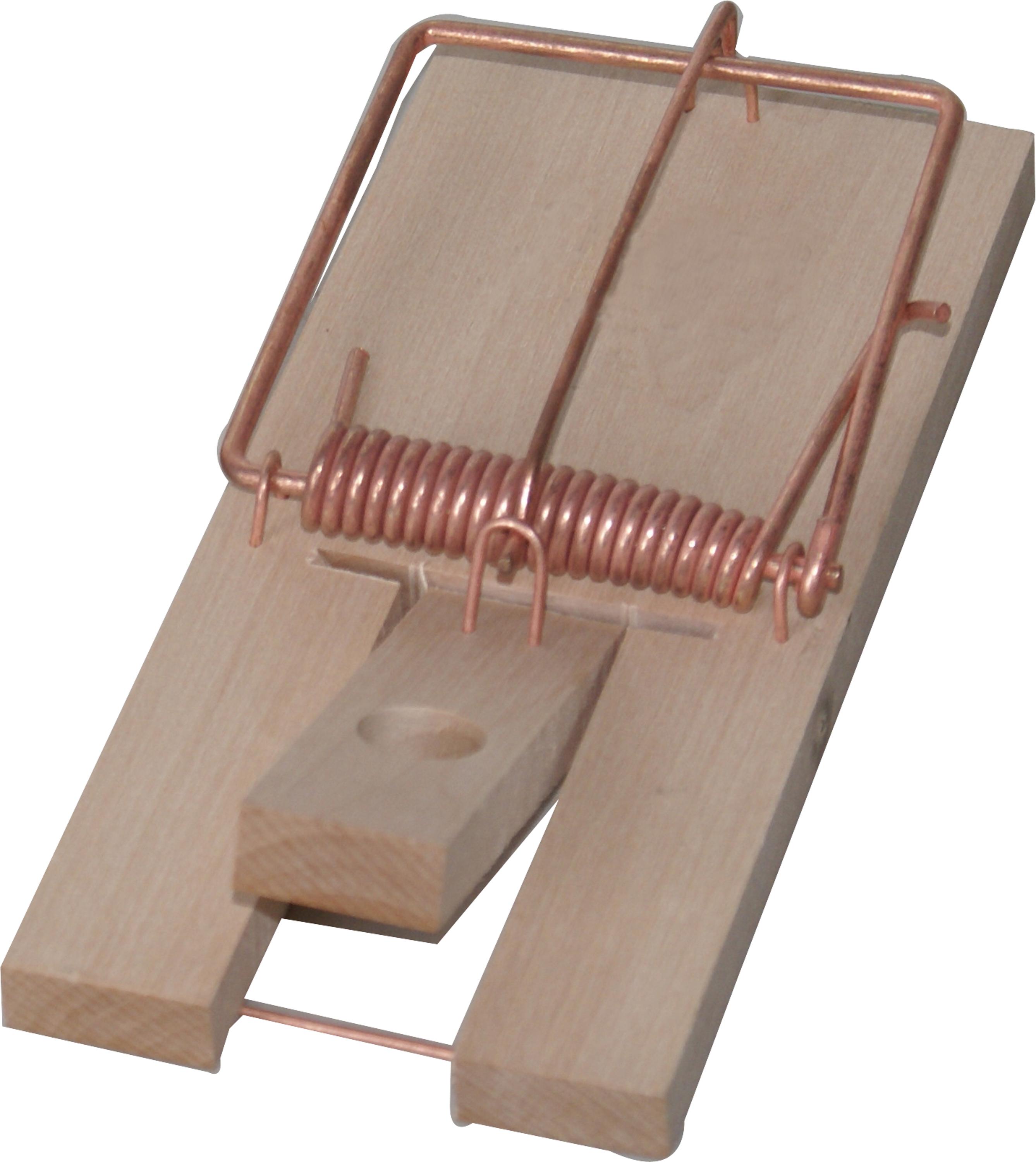 Victor Reusable Wooden Mouse Trap - 1 Pack 