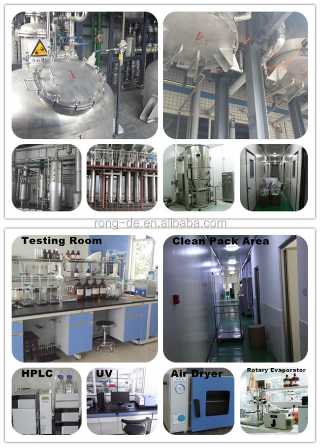1000 mesh 2500 mesh matcha powder Green Tea Extract
