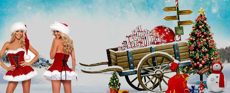 クリスマスレディースセクシーなチュチュ+クリスマスストッキング女性の仮装衣装の衣装仕入れ・メーカー・工場