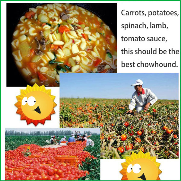 Bulk Buy Chinese canned tomato paste in sauce