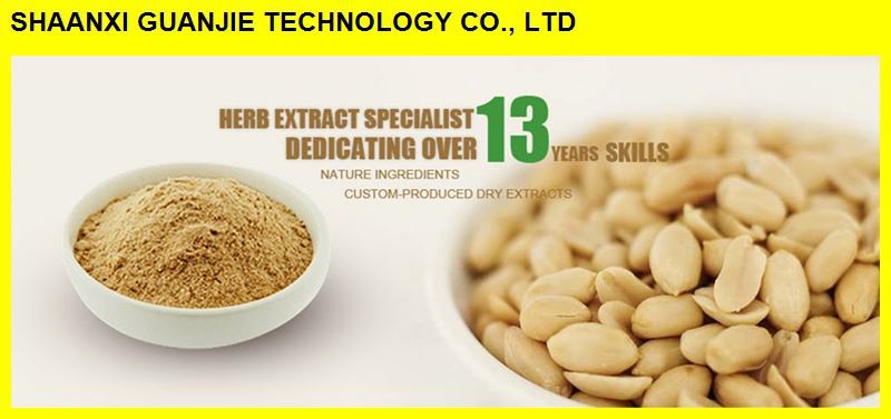 High Quality Organic Cocoa extract