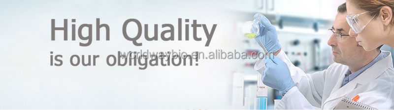 Free sample for trial HACCP Kosher FDA China manufacturer R&D advantage product strong antioxidant cocoa polyphenols