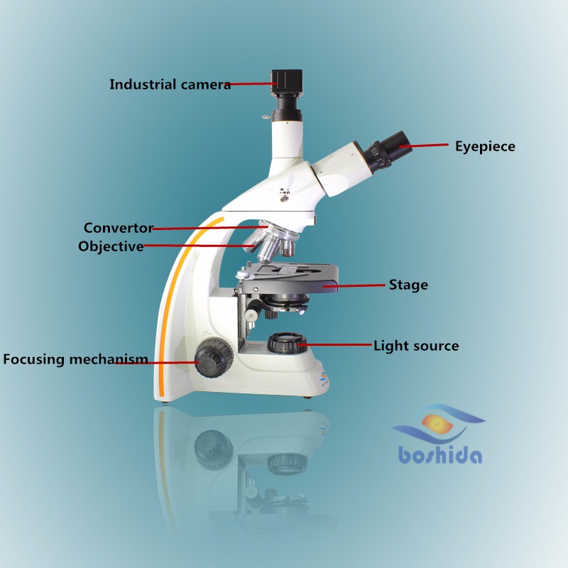 供給BD-SW2001電子生物顕微鏡でledライト調節可能仕入れ・メーカー・工場