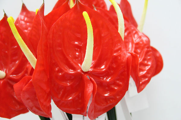 造花のanthuriums室内装飾のための植物の葉や結婚式の装飾問屋・仕入れ・卸・卸売り