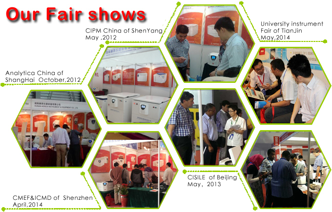 Our Fair shows