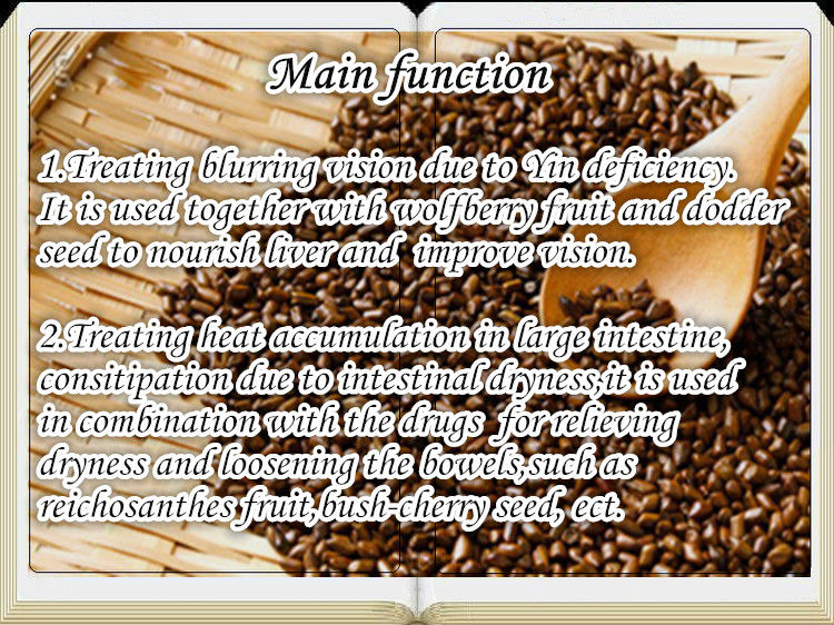 cassia seed extract/cassia tora seeds