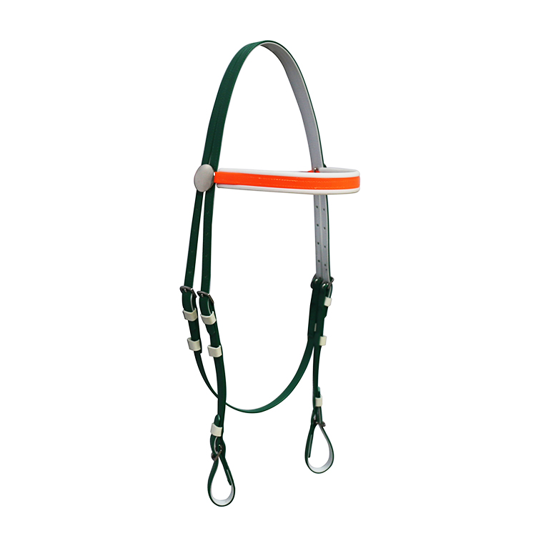 green + orange 02.jpg