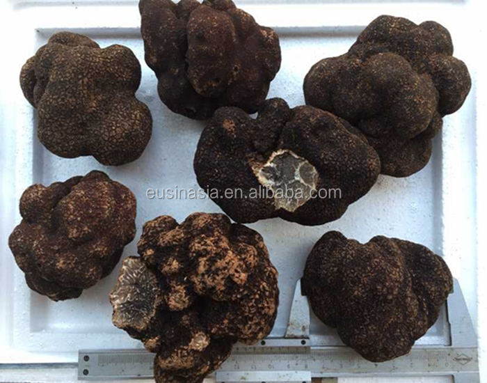 Chinese Truffle Tuber Indicum Buy Tuber Indicum,Chinese Truffle