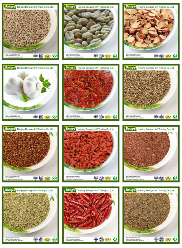 Tibet Safflower new crop /Saffron