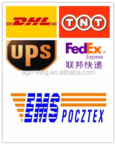 Chinese new IQF & Frozen types of onions