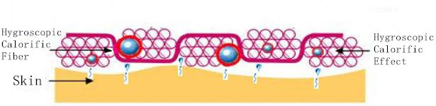 Hygroscopic Calorific Fiber 2.jpg