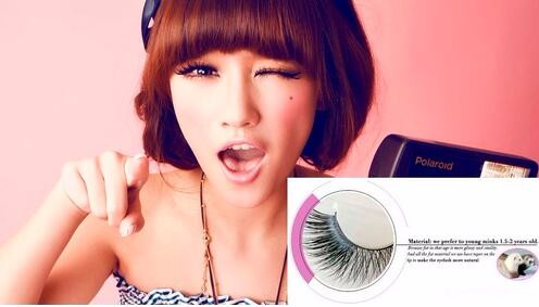 high fashion lash.jpg