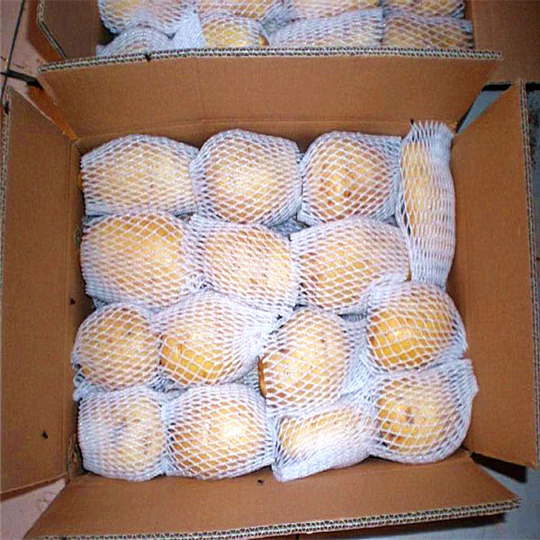 chinese fresh potatoes new corp