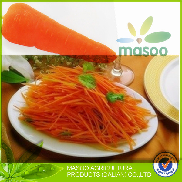Local fresh plush red carrot /export price for chinese fresh red carrot