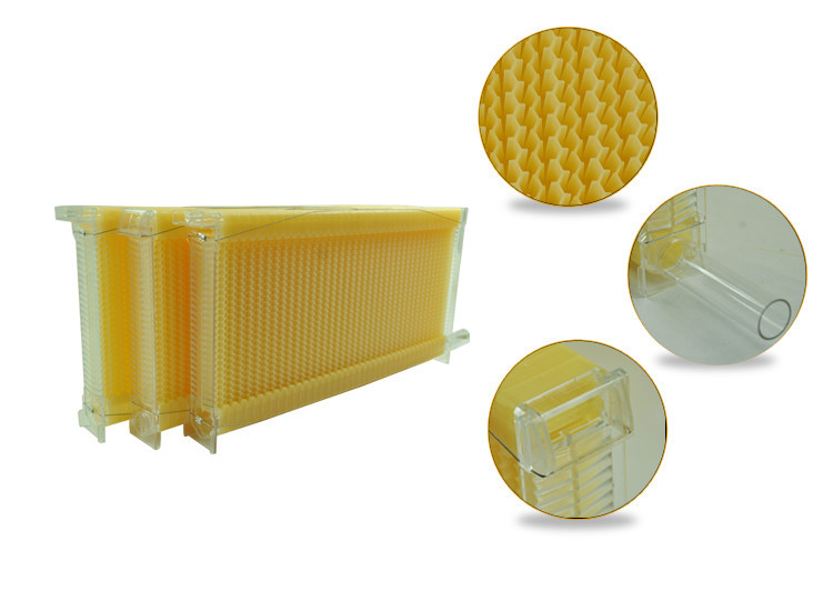 Hive-Plastic-Frame.jpg