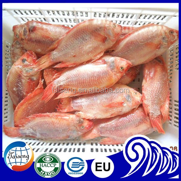 Nile Tilapia Fillet And Whole Tilapia Buy Nile Tilapia Fillet,Whole
