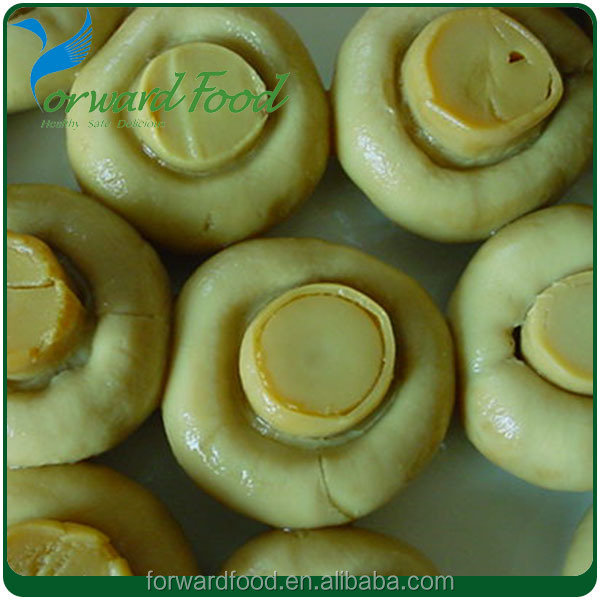 sliced brined mushroom in drums