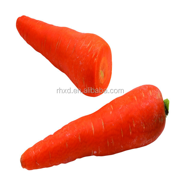 2014 new crop fresh carrot price