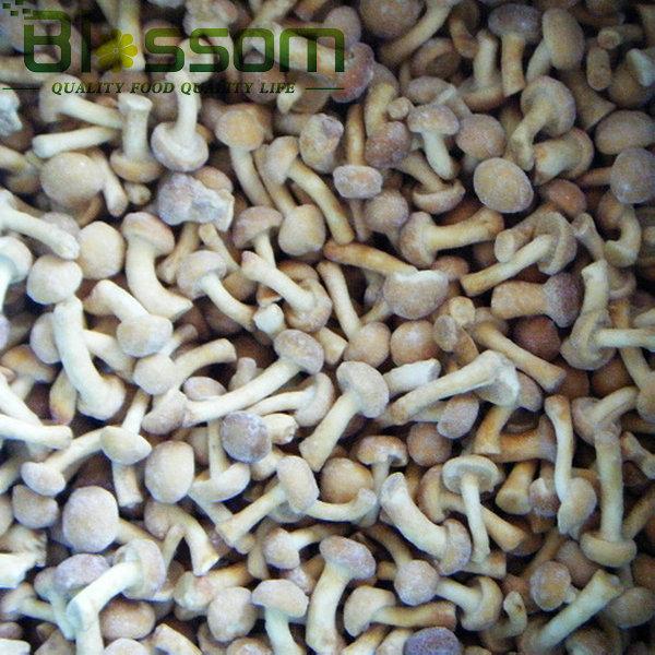 Top quality frozen shiitake mushroom names all mushrooms