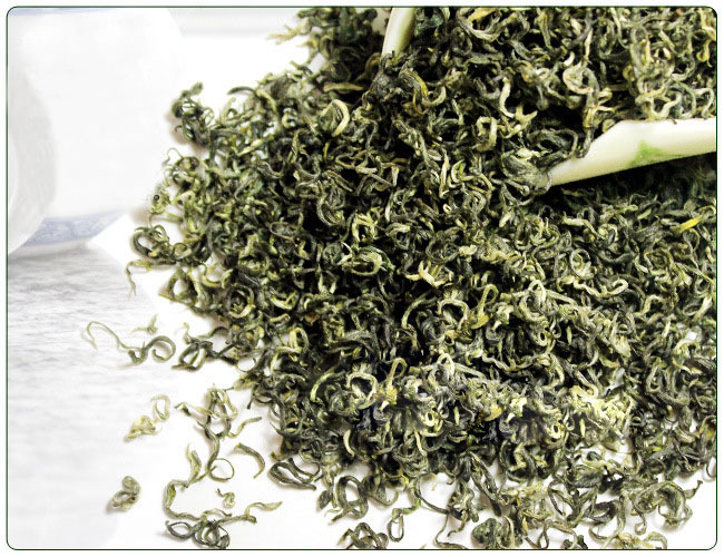 Spring refined flavored famous gunpowder green tea